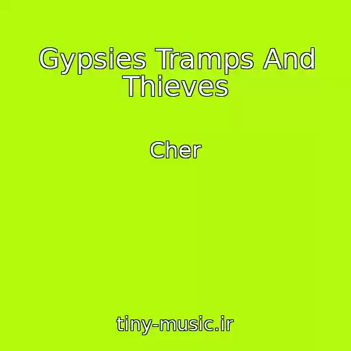 کاور آهنگ Gypsies Tramps And Thieves از Cher