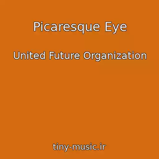 کاور آهنگ Picaresque Eye از United Future Organization