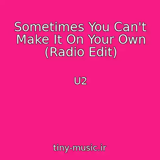 کاور آهنگ Sometimes You Can't Make It On Your Own (Radio Edit) از U2