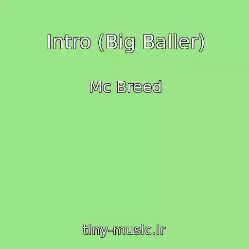 کاور آهنگ Intro (Big Baller) از Mc Breed