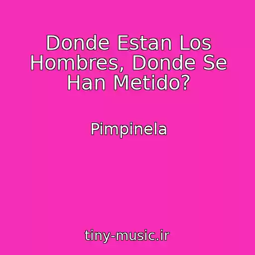 کاور آهنگ Donde Estan Los Hombres, Donde Se Han Metido? از Pimpinela