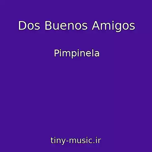 کاور آهنگ Dos Buenos Amigos از Pimpinela