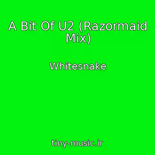 کاور آهنگ A Bit Of U2 (Razormaid Mix) از Whitesnake