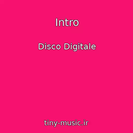 کاور آهنگ Intro از Disco Digitale