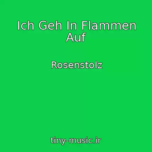 کاور آهنگ Ich Geh In Flammen Auf از Rosenstolz
