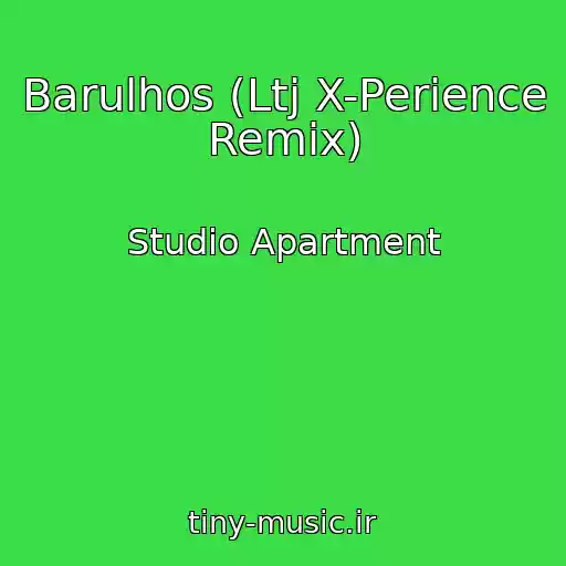 کاور آهنگ Barulhos (Ltj X-Perience Remix) از Studio Apartment