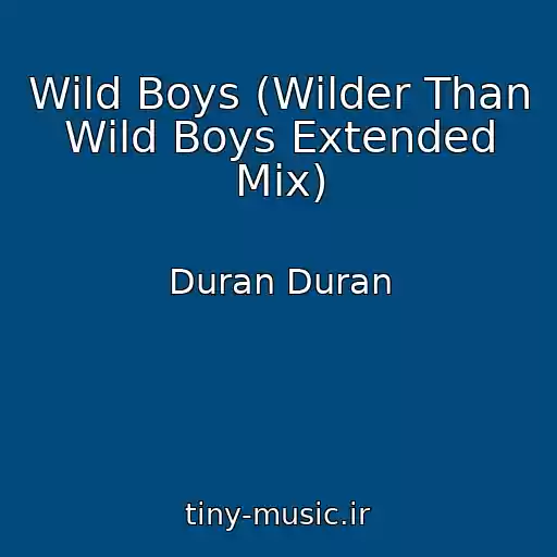 کاور آهنگ Wild Boys (Wilder Than Wild Boys Extended Mix) از Duran Duran