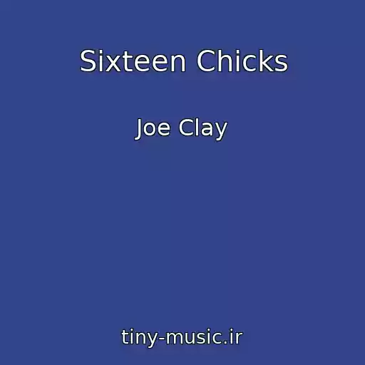 کاور آهنگ Sixteen Chicks از Joe Clay