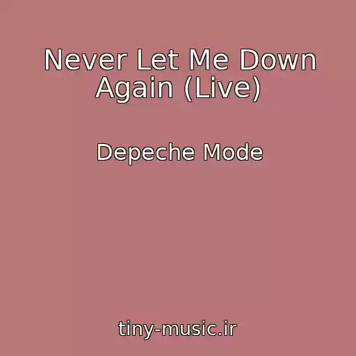 کاور آهنگ Never Let Me Down Again (Live) از Depeche Mode