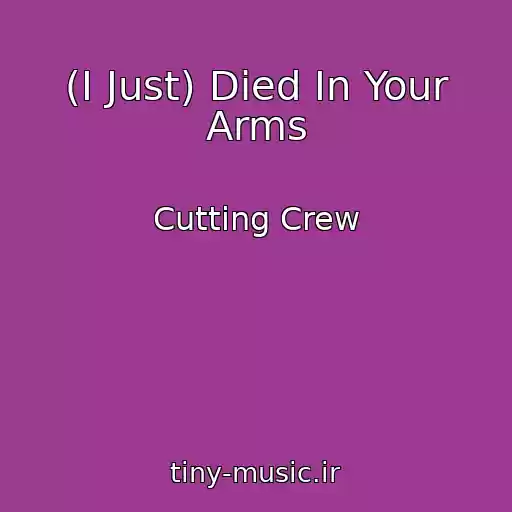 کاور آهنگ (I Just) Died In Your Arms از Cutting Crew