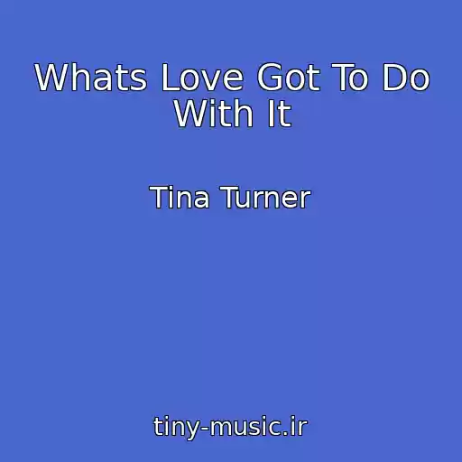 کاور آهنگ Whats Love Got To Do With It از Tina Turner
