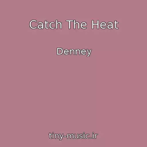 کاور آهنگ Catch The Heat از Denney