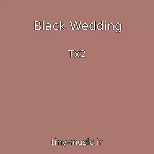 کاور آهنگ Black Wedding از Tx2