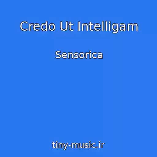 کاور آهنگ Credo Ut Intelligam از Sensorica