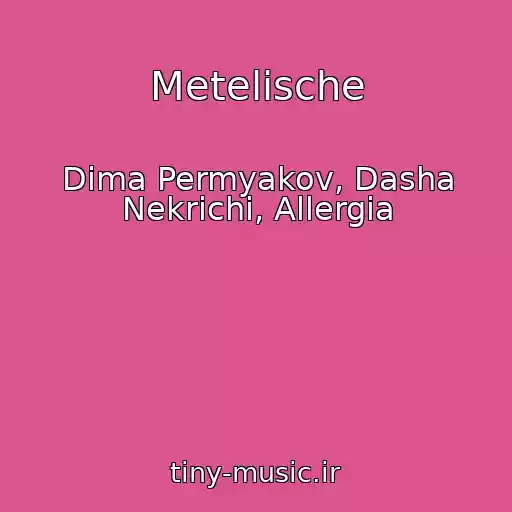 کاور آهنگ Metelische از Dima Permyakov, Dasha Nekrichi, Allergia