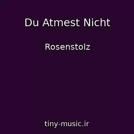 کاور آهنگ Du Atmest Nicht از Rosenstolz