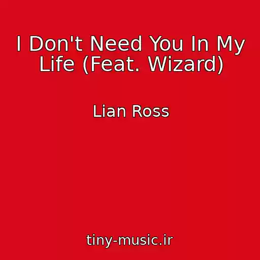 کاور آهنگ I Don't Need You In My Life (Feat. Wizard) از Lian Ross