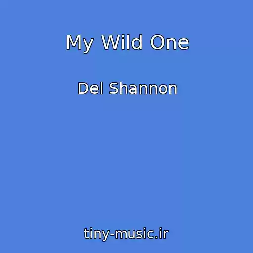 کاور آهنگ My Wild One از Del Shannon