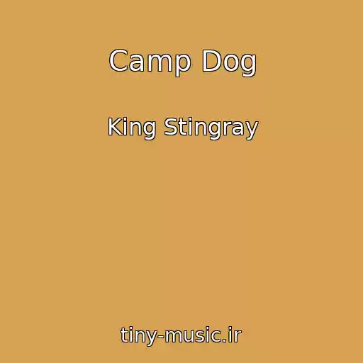 کاور آهنگ Camp Dog از King Stingray