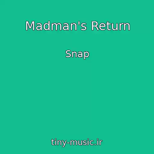 کاور آهنگ Madman's Return از Snap