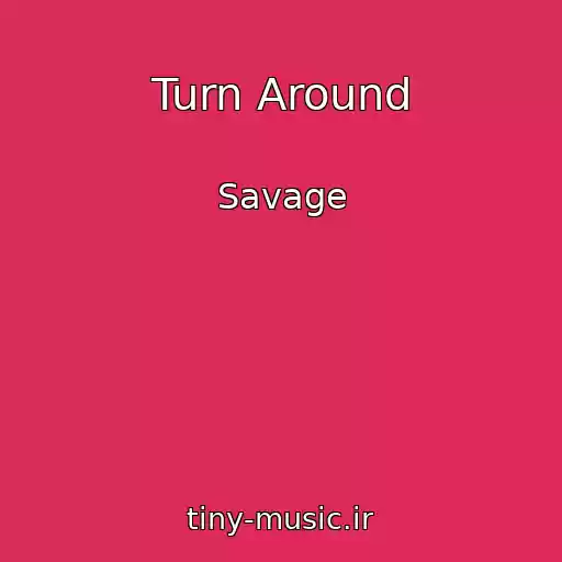 کاور آهنگ Turn Around از Savage