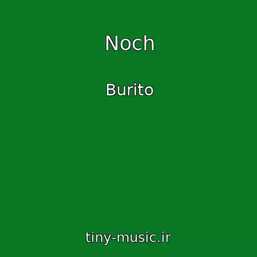 کاور آهنگ Noch از Burito