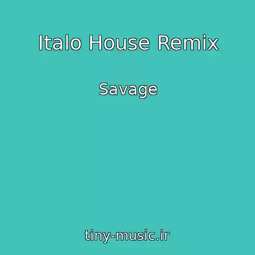 کاور آهنگ Italo House Remix از Savage