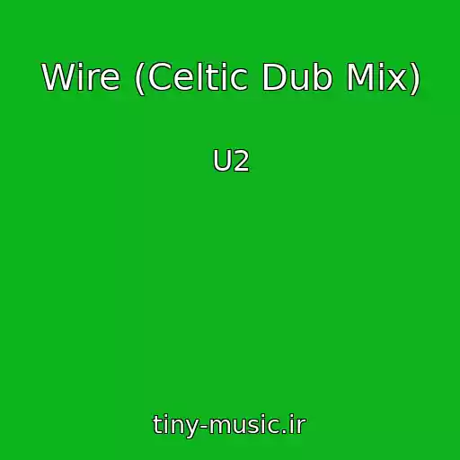 کاور آهنگ Wire (Celtic Dub Mix) از U2