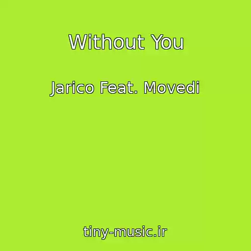 کاور آهنگ Without You از Jarico Feat. Movedi
