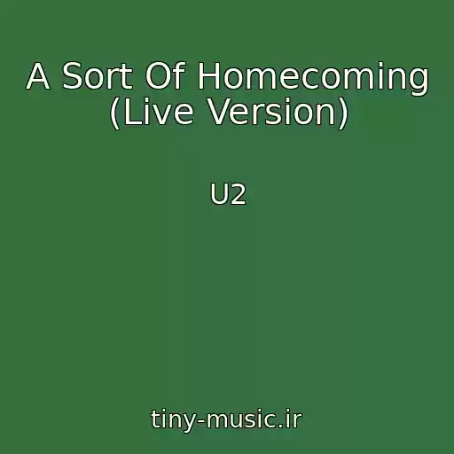 کاور آهنگ A Sort Of Homecoming (Live Version) از U2