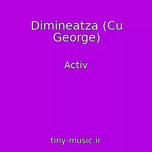 کاور آهنگ Dimineatza (Cu George) از Activ