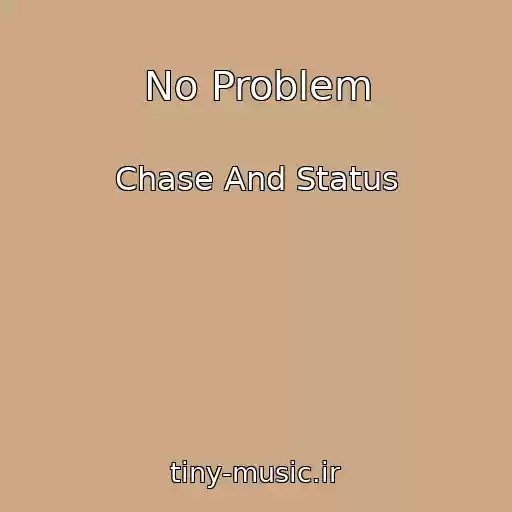 کاور آهنگ No Problem از Chase And Status