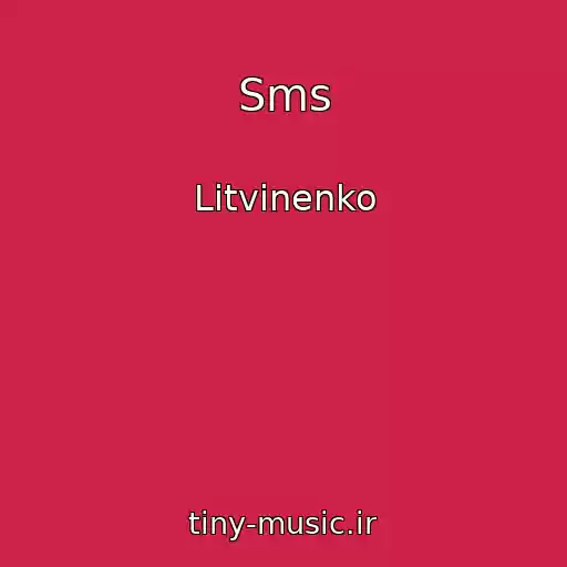 کاور آهنگ Sms از Litvinenko