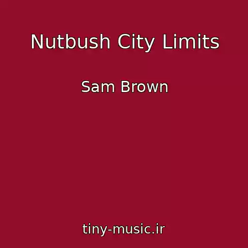 کاور آهنگ Nutbush City Limits از Sam Brown