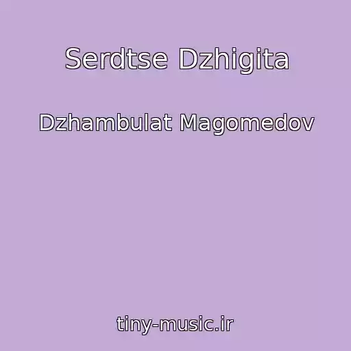 کاور آهنگ Serdtse Dzhigita از Dzhambulat Magomedov