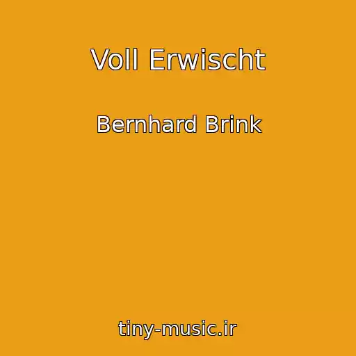 کاور آهنگ Voll Erwischt از Bernhard Brink