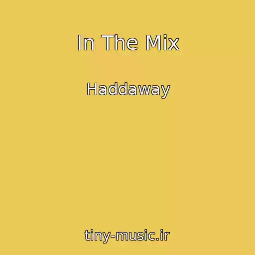 کاور آهنگ In The Mix از Haddaway