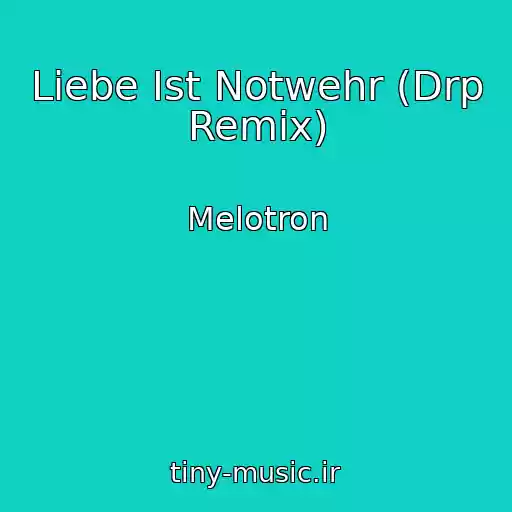 کاور آهنگ Liebe Ist Notwehr (Drp Remix) از Melotron