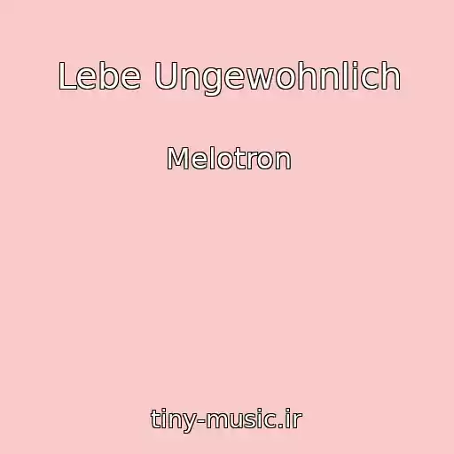 کاور آهنگ Lebe Ungewohnlich از Melotron