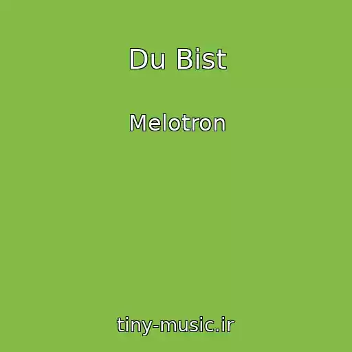 کاور آهنگ Du Bist از Melotron