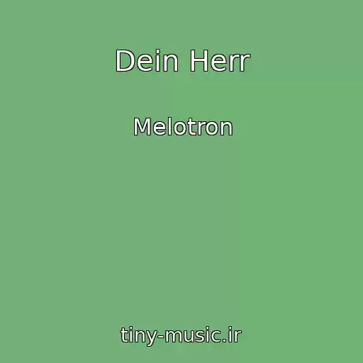 کاور آهنگ Dein Herr از Melotron