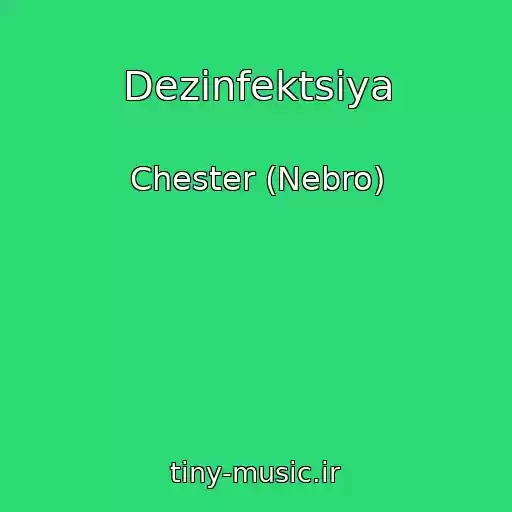 کاور آهنگ Dezinfektsiya از Chester (Nebro)
