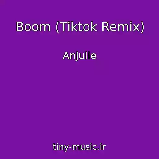 کاور آهنگ Boom (Tiktok Remix) از Anjulie