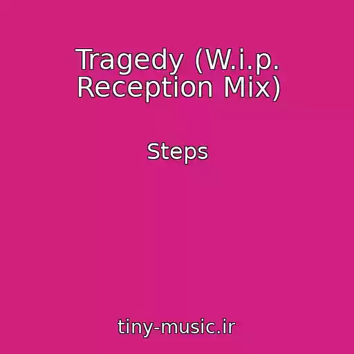 کاور آهنگ Tragedy (W.i.p. Reception Mix) از Steps