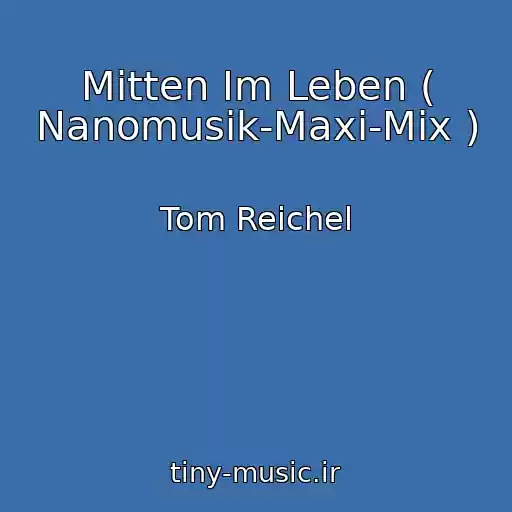 کاور آهنگ Mitten Im Leben ( Nanomusik-Maxi-Mix ) از Tom Reichel