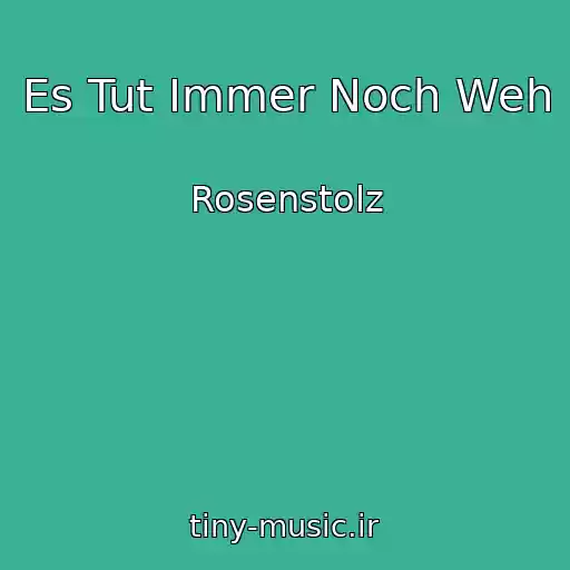 کاور آهنگ Es Tut Immer Noch Weh از Rosenstolz