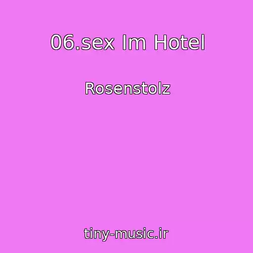 کاور آهنگ 06.sex Im Hotel از Rosenstolz
