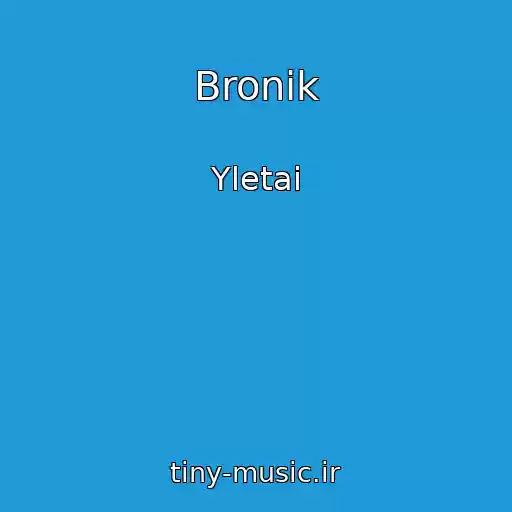 کاور آهنگ Bronik از Yletai