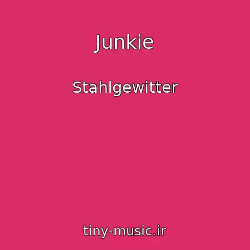 کاور آهنگ Junkie از Stahlgewitter