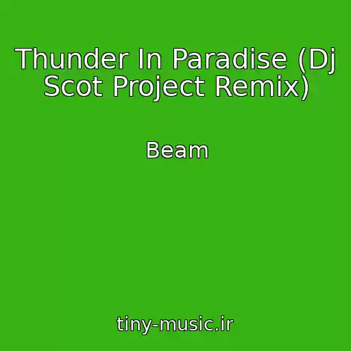 کاور آهنگ Thunder In Paradise (Dj Scot Project Remix) از Beam